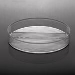 100 x 15 mm Petri Dish, I-Plate (2-section), stackable, sterile, 20/pk, 500/cs