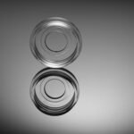 Glass Bottom Cell Culture Dish,? 20mm,TC, sterile 10/pk, 200/cs