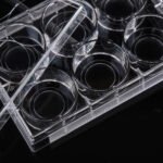 6 Well Glass Bottom Cell Culture Plate,? 20mm,TC, sterile 1/pk, 10/cs