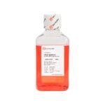 DMEM High Glucose, L-Glutamine, HEPES, Sodium Pyruvate