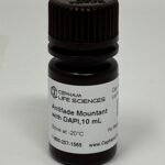 Antifade Mountant with DAPI