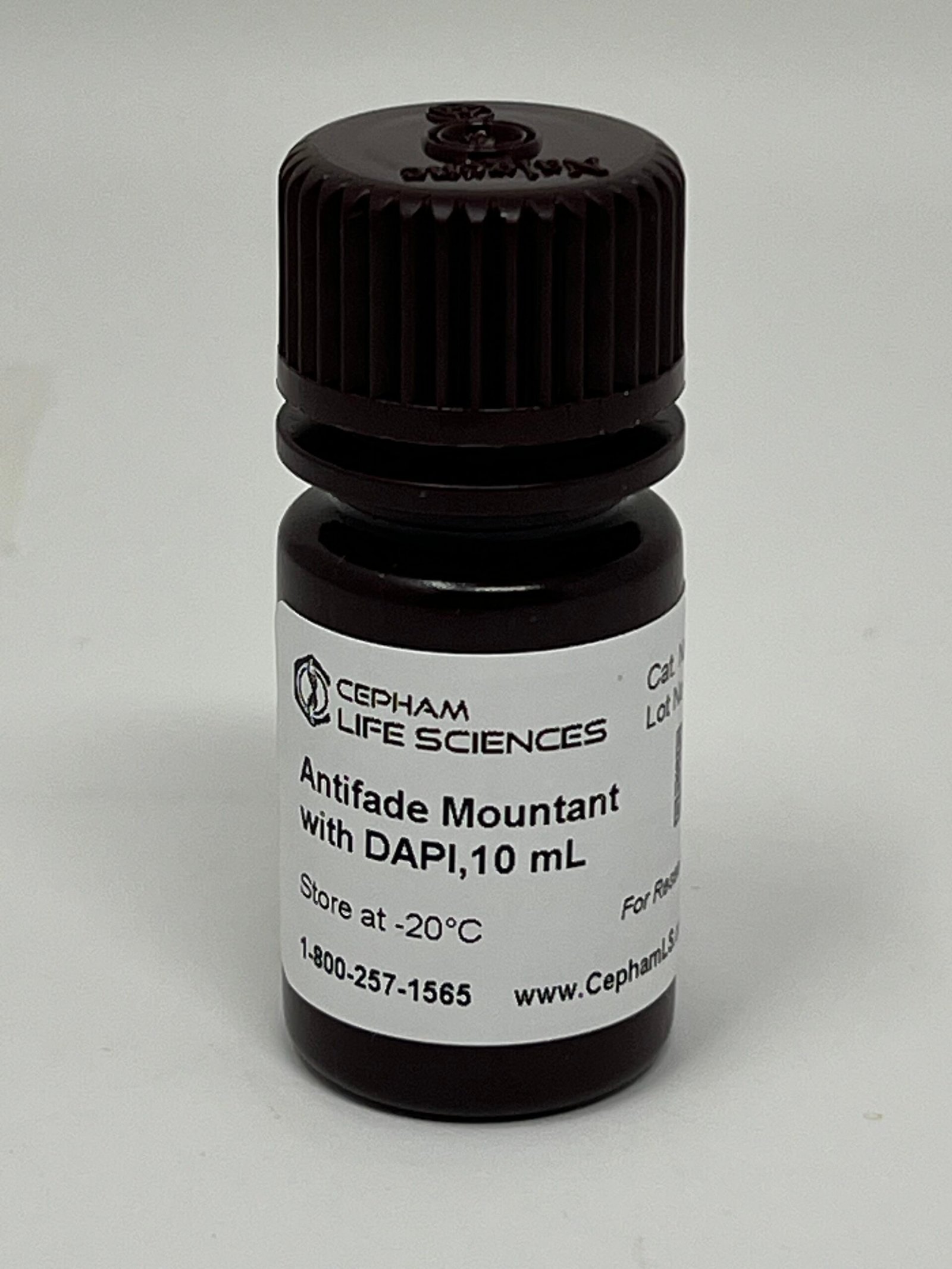 66694 Antifade Mountant With DAPI