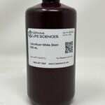 Calcofluor White Stain Kit