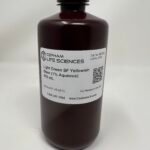 Light Green SF Yellowish Stain (1% Aqueous)