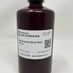 Methenamine Silver Stain (Fungi)