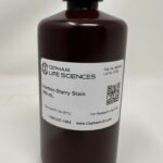 Warthin-Starry stain