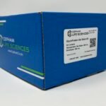 Glycoprotein Staining Kit