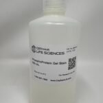 Phosphoprotein Gel Stain