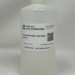 Plant Total Protein Extraction Buffer