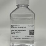 TotalClear Western Blot Stripping Buffer