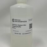 UltraClear Western Blot Stripping Buffer