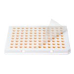 qPCR sealing film, adhesive