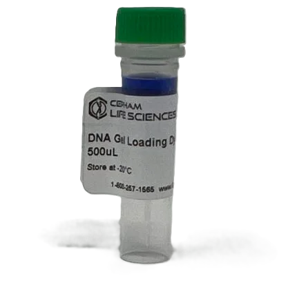 66805-DNA Gel Loading Dye 6X-430x430 Clear plastic vial with blue gel-loading dye, green cap, and a label reading 'DNA Gel Loading Dye 500 µL' on a white background.