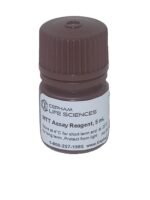 MTT Cell Proliferation Assay Kit - Image 3