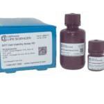 MTT Cell Proliferation Assay Kit