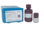 MTT Cell Proliferation Assay Kit