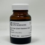 Acid-Fast (Ziehl-Neelsen) Stain