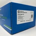 Gram Stain Kit