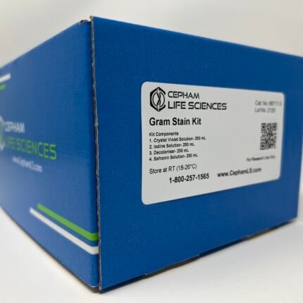 Gram Stain Kit