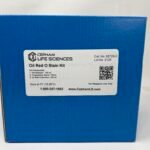 Oil Red O Stain Kit (Lipid Stain)
