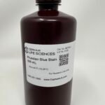 Prussian Blue Stain Kit (Iron Stain Kit)