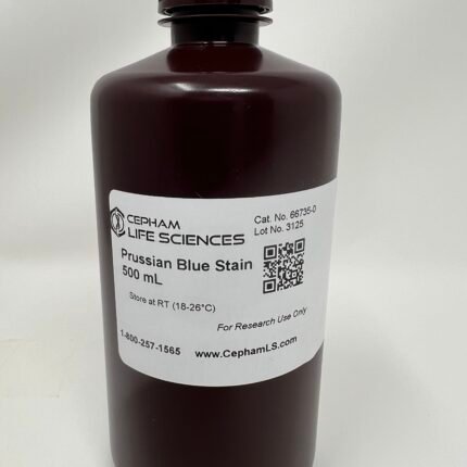 Prussian Blue Stain Kit (Iron Stain Kit)