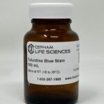 Toluidine Blue Stain (Kit)