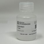 Antioxidant for Western Blotting