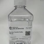 Bis-Tris Transfer Buffer (20X)