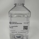 IP Lysis Buffer