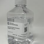Neuronal Protein Extraction Reagent