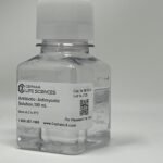 Antibiotic-Antimycotic Solution