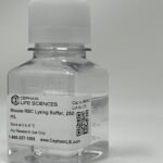 Mouse RBC Lysis Buffer