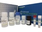 Human Lipopolysaccharide Binding Protein (LBP) Elisa Kit
