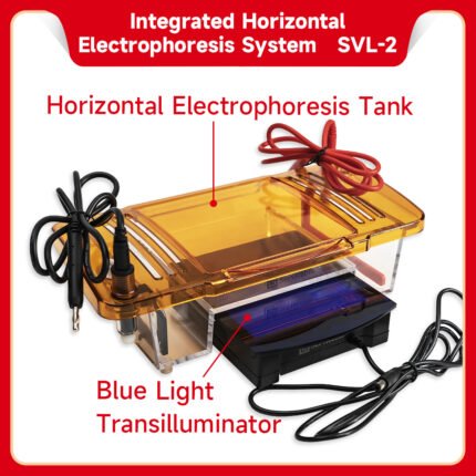 Horizontal Electrophoresis System for DNA / RNA