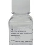 Clear glass bottle with white cap labeled 'Cepham Life Sciences' containing nuclease-free water (non-DEPC) for lab use