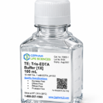 TE; Tris-EDTA Buffer 1X