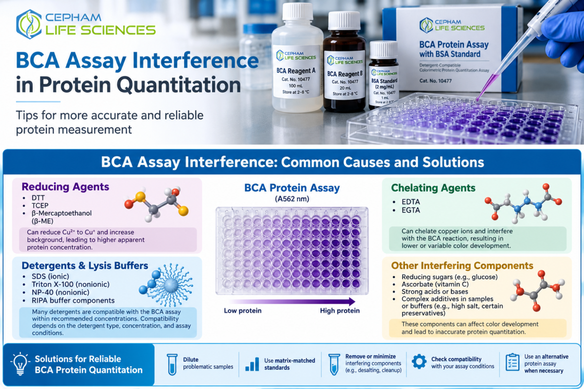 BCA protein assay for protein quantitation and interference troubleshooting