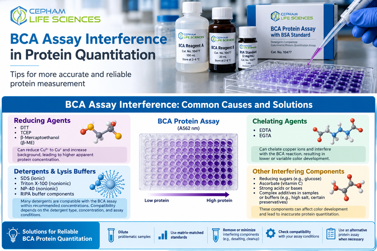 BCA protein assay for protein quantitation and interference troubleshooting