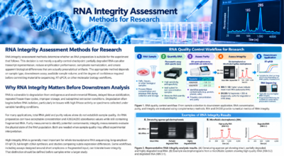 RNA integrity assessment showing intact and degraded RNA by gel electrophoresis and electropherogram analysis.