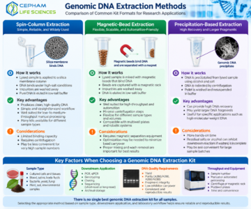 Genomic DNA extraction methods comparing spin-column, magnetic-bead, and precipitation-based workflows