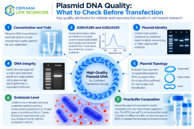 Plasmid DNA quality control before transfection including purity, integrity, topology, endotoxin level, and buffer